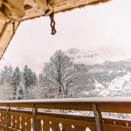 Domek alpejski Caramelle Grindelwald