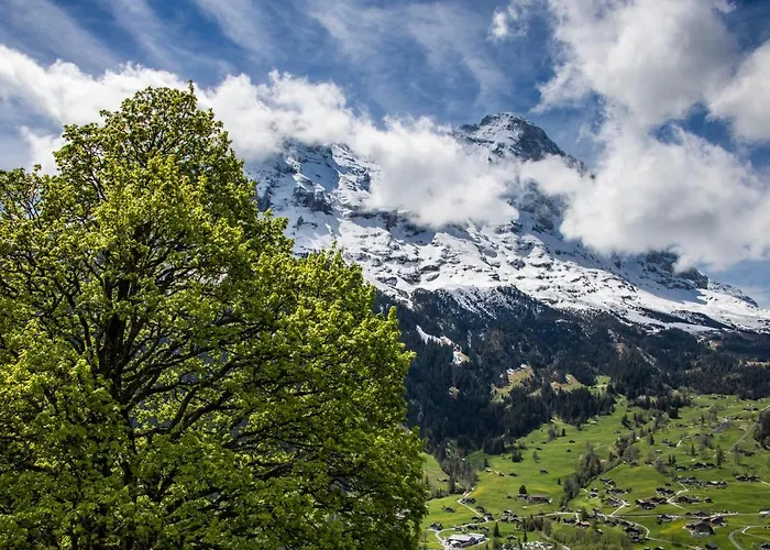 Caramelle شاليه